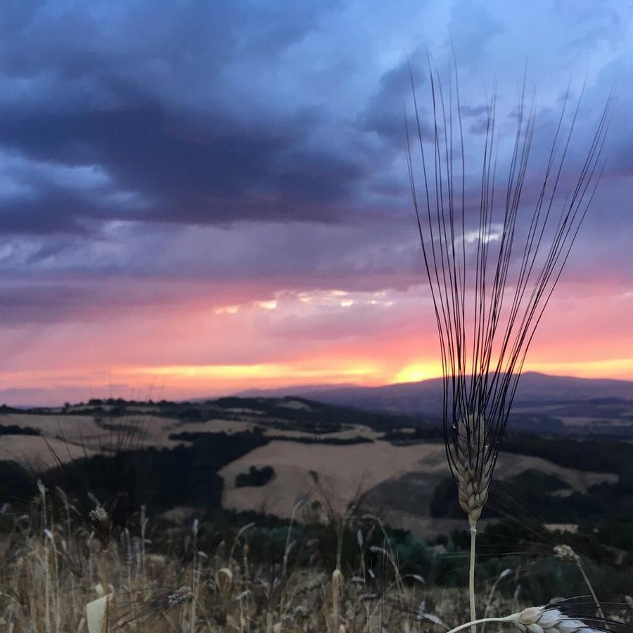 Vila Agriturismo Incanto Del Fiume Pomarance Exteriér fotografie